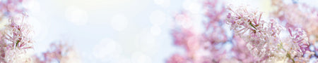 Badrückwand